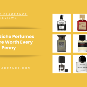 Top 10 Niche Perfumes That Are Worth Every Penny
